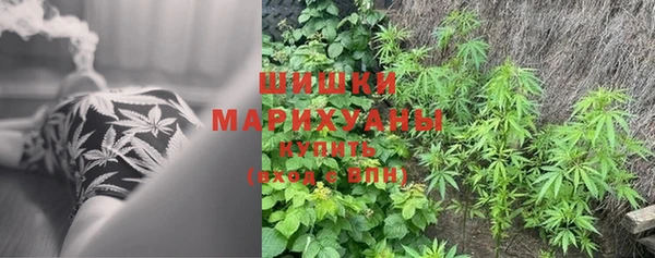 гашик Волосово